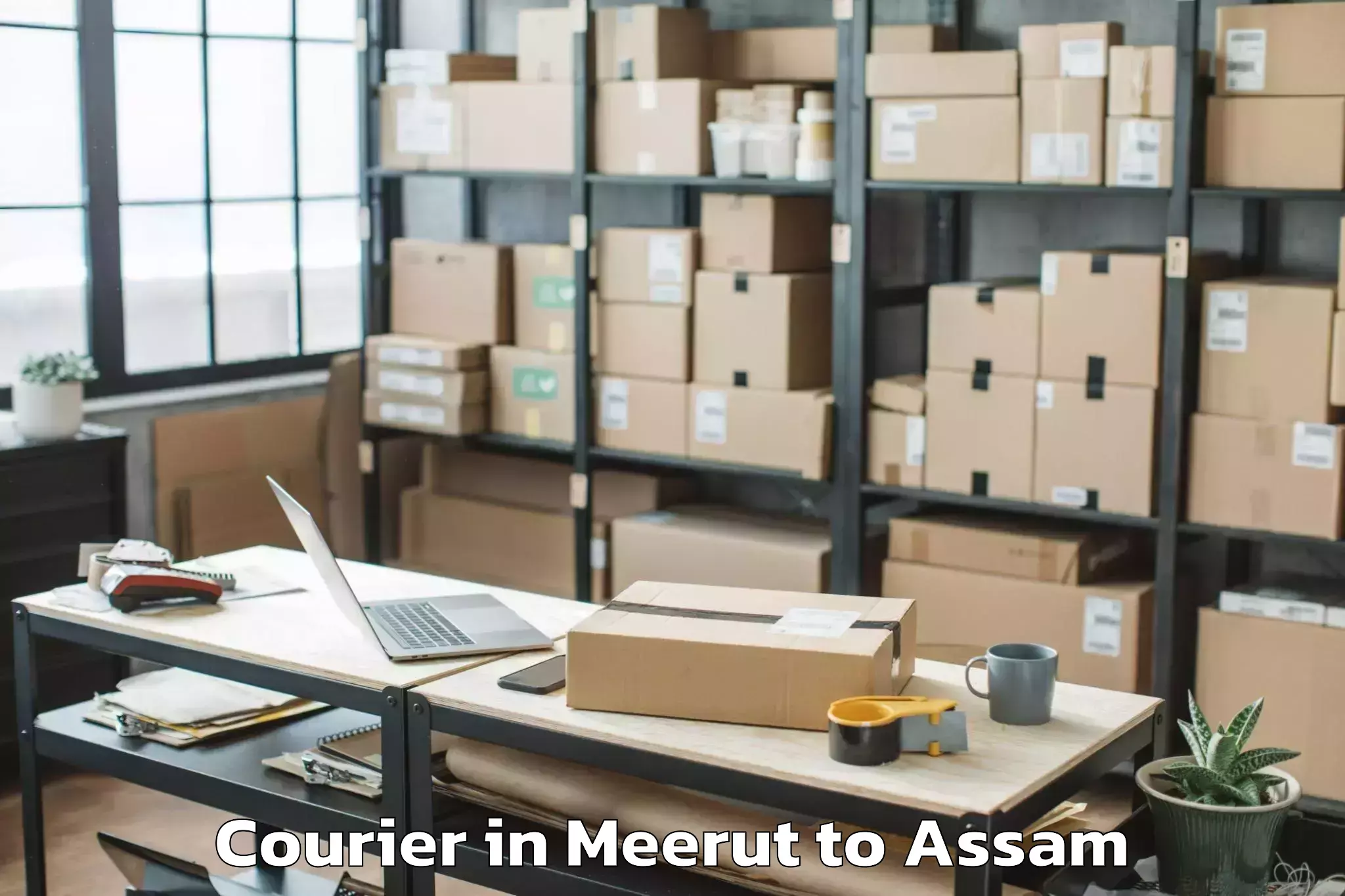 Hassle-Free Meerut to Biswanath Charali Courier